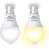 Bomcosy Ampoule -B22 A60 13W LED Bulb